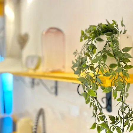 Flor-the Cozy In Лагоа