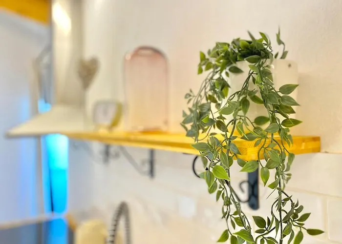 Flor-the Cozy In Lagoa (Algarve)